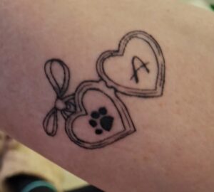 WhatsApp Image 2026-03-25 at 21.42.28 (2)